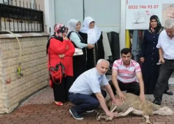 Kurban kesti, koronavirüs vakaları çoğaldı