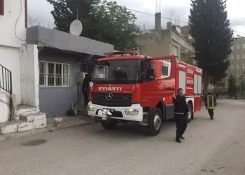 Devrilen ısıtıcı kuşların ölümüne neden oldu