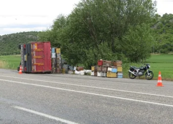 Devrilen kamyonetteki binlerce arı karayolunu bastı