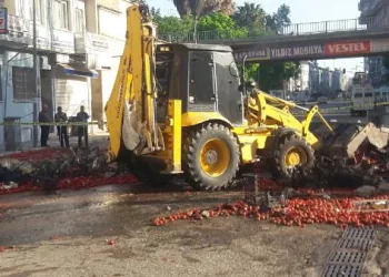 Devrilen kamyonun sürücüsü öldü, kaza güvenlik kamerasına yansıdı