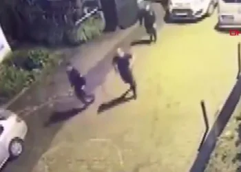 Artvin’de polis ekipleri şehre inen ayıyı kovaladı