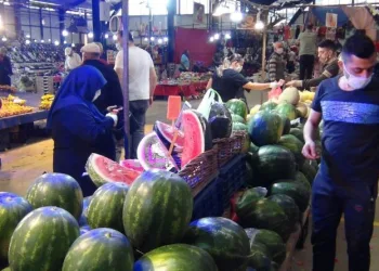 Di̇li̇m Di̇li̇m Karpuza Büyük İlgi̇