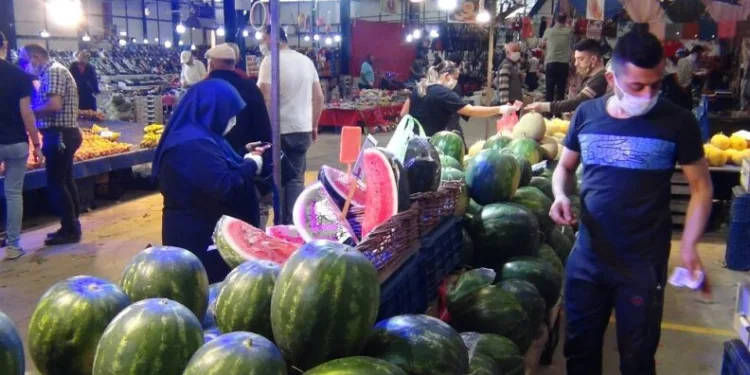Di̇li̇m Di̇li̇m Karpuza Büyük İlgi̇