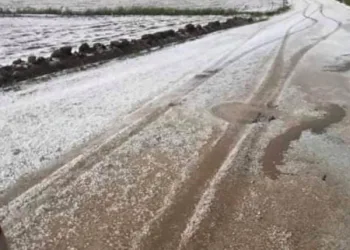 Diyarbakır’da dolu ekili alanlarda zarara yol açtı