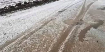 Diyarbakır’da dolu ekili alanlarda zarara yol açtı