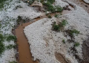 Dolu ekinlere büyük zarar verdi