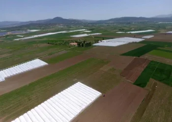 Dsi̇, Burdurda Sulama Sezonunun Başladığını Duyurdu