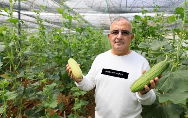 Dünyanın ilk hibrit acuru rafa çıkmak için gün sayıyor