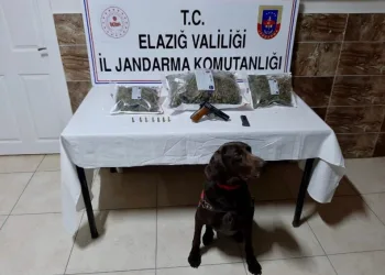 Elazığda Uyuşturucu Operasyonu:2 Gözaltı