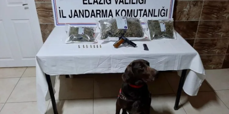 Elazığda Uyuşturucu Operasyonu:2 Gözaltı