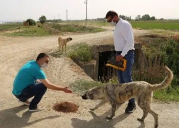 Eso, Sokaktaki̇ Canları Unutmadı