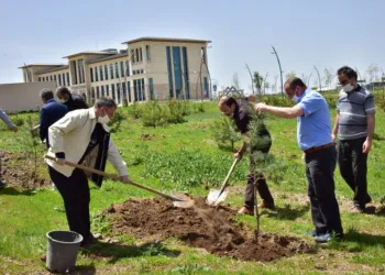 Etüde Yeni̇ Fi̇danlar Can Buldu