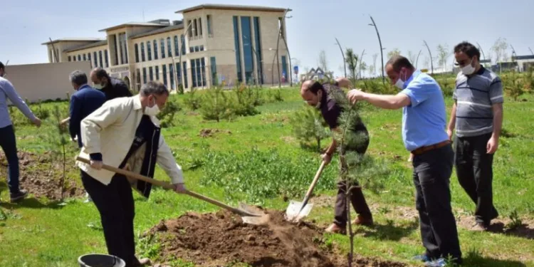Etüde Yeni̇ Fi̇danlar Can Buldu