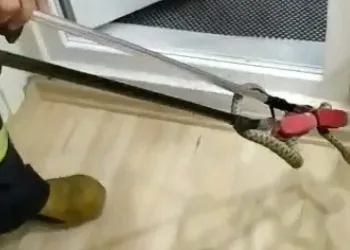 Eve Gi̇ren Yılan Banyoda Yakalandı