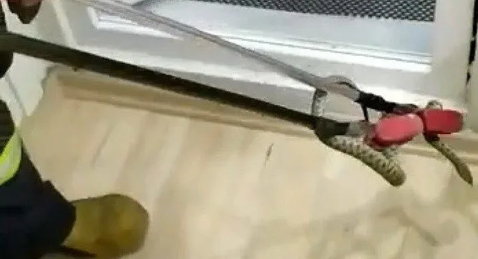 Eve Gi̇ren Yılan Banyoda Yakalandı