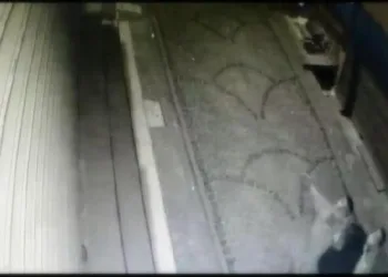 Fatih’te sokağa çıkma yasağında çorap çalan şüpheliler kamerada