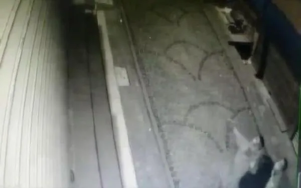 Fatih’te sokağa çıkma yasağında çorap çalan şüpheliler kamerada