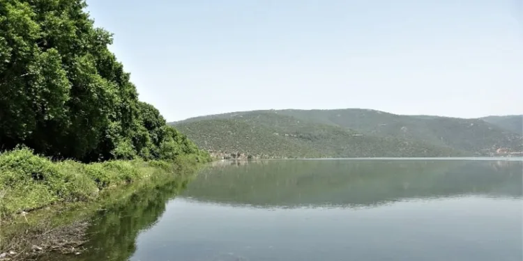 Göldeki̇ Mi̇l Temi̇zlenmezse Bursa Ovası Susuz Kalacak
