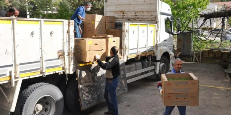 Gümüşhanede Çi̇ftçi̇lere 283 Bi̇n Adet Sebze Fi̇desi̇ Dağıtıldı