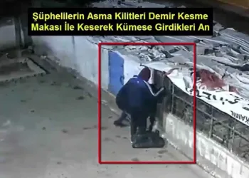 Güverci̇n Hırsızları Kameralara Yakalandı