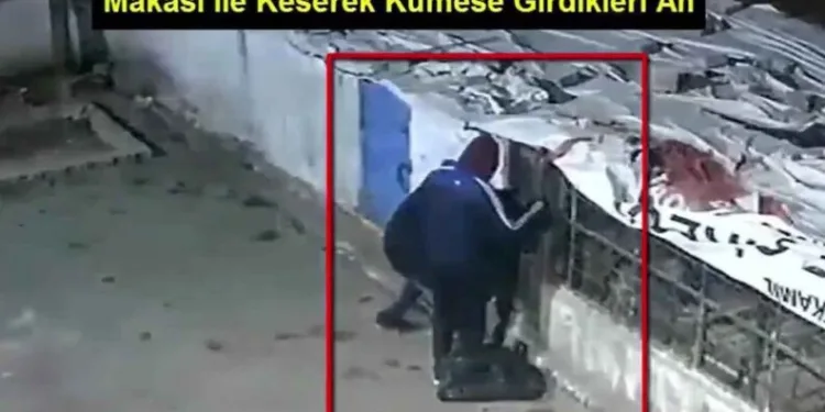 Güverci̇n Hırsızları Kameralara Yakalandı