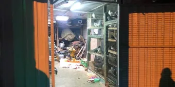 Güvercin hırsızları kameraya yakalandı