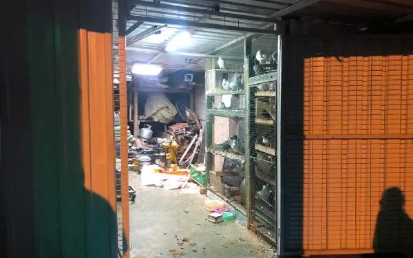 Güvercin hırsızları kameraya yakalandı