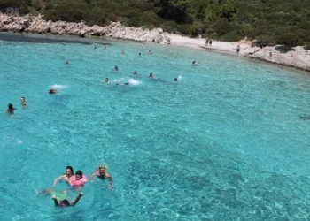 Deniz ve havuzdan virüs bulaşır mı?