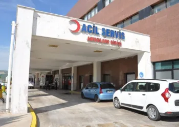 Hayvan otlatan kardeşlerin üzerine yıldırım düştü: 1 ölü, 1 yaralı