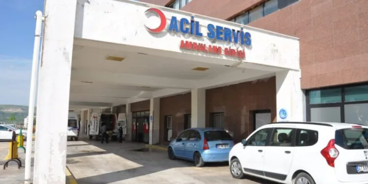 Hayvan otlatan kardeşlerin üzerine yıldırım düştü: 1 ölü, 1 yaralı