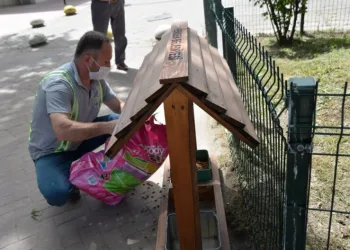 Hendekte Mama Evleri̇ Projesi̇ Hayata Geçi̇ri̇ldi̇
