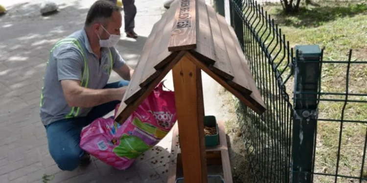 Hendekte Mama Evleri̇ Projesi̇ Hayata Geçi̇ri̇ldi̇