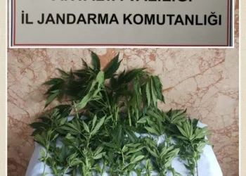 Hint keneviri ekti, “Sokağa çıkamayınca kendim ürettim” dedi