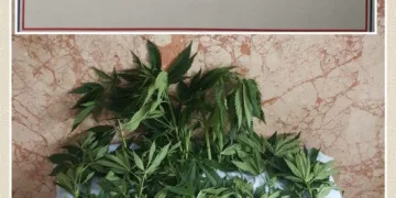 Hint keneviri ekti, “Sokağa çıkamayınca kendim ürettim” dedi