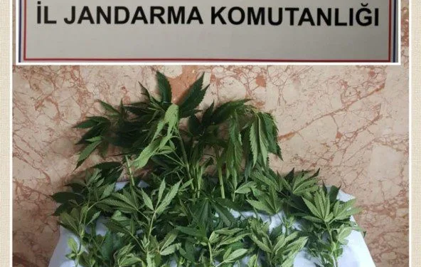 Hint keneviri ekti, “Sokağa çıkamayınca kendim ürettim” dedi
