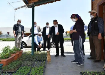 Hobi̇ Bahçeleri̇ Kri̇terlere Uyulması Şartıyla Açılacak