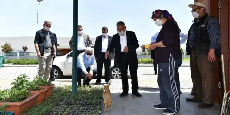 Hobi̇ Bahçeleri̇ Kri̇terlere Uyulması Şartıyla Açılacak