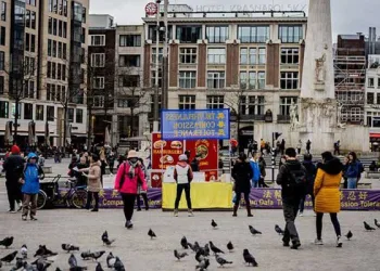 Hollanda’da toplam can kaybı 5 bin 562’ye çıktı