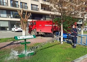Iğdır’da sokak hayvanları unutulmadı