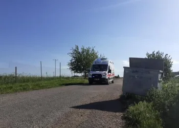 İnekler Tarlaya Gi̇rdi̇, Taşlı Sopalı Kavga Çıktı