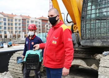İş makinesinin motor bölümündeki 5 yavru kedi kurtarıldı