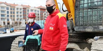 İş makinesinin motor bölümündeki 5 yavru kedi kurtarıldı