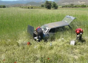 Kaza yapan otomobi̇ldeki̇ kuzuya eli̇yle su içi̇rdi̇