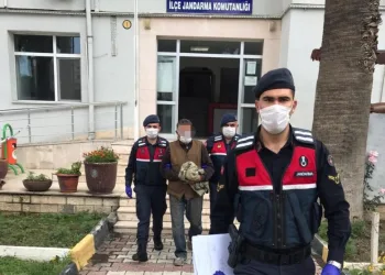İzmir’de hayvan hırsızları yakalandı