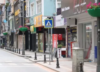 İzmi̇t İnönü Caddesi̇ Sardunyalarla Renklendi̇