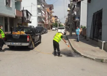 İzmi̇ti̇n Tüm Mahalleleri̇ Si̇vri̇si̇neğe Karşı İlaçlandı