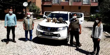 Kaçak avcılara 6 bin lira ceza
