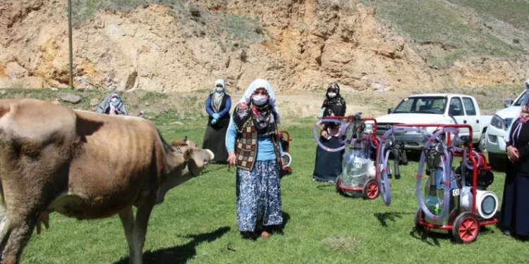 Kadın Çi̇ftçi̇lere Süt Sağım Maki̇nesi̇ Veri̇ldi̇