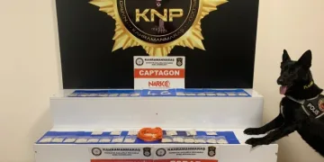 Kahramanmaraşta Uyuşturucu Operasyonu