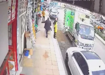 Vahşet! Kaldırımda duran hamile köpeğe tekme attı